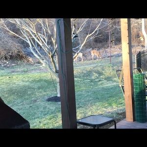 Meet your Posher, Michele